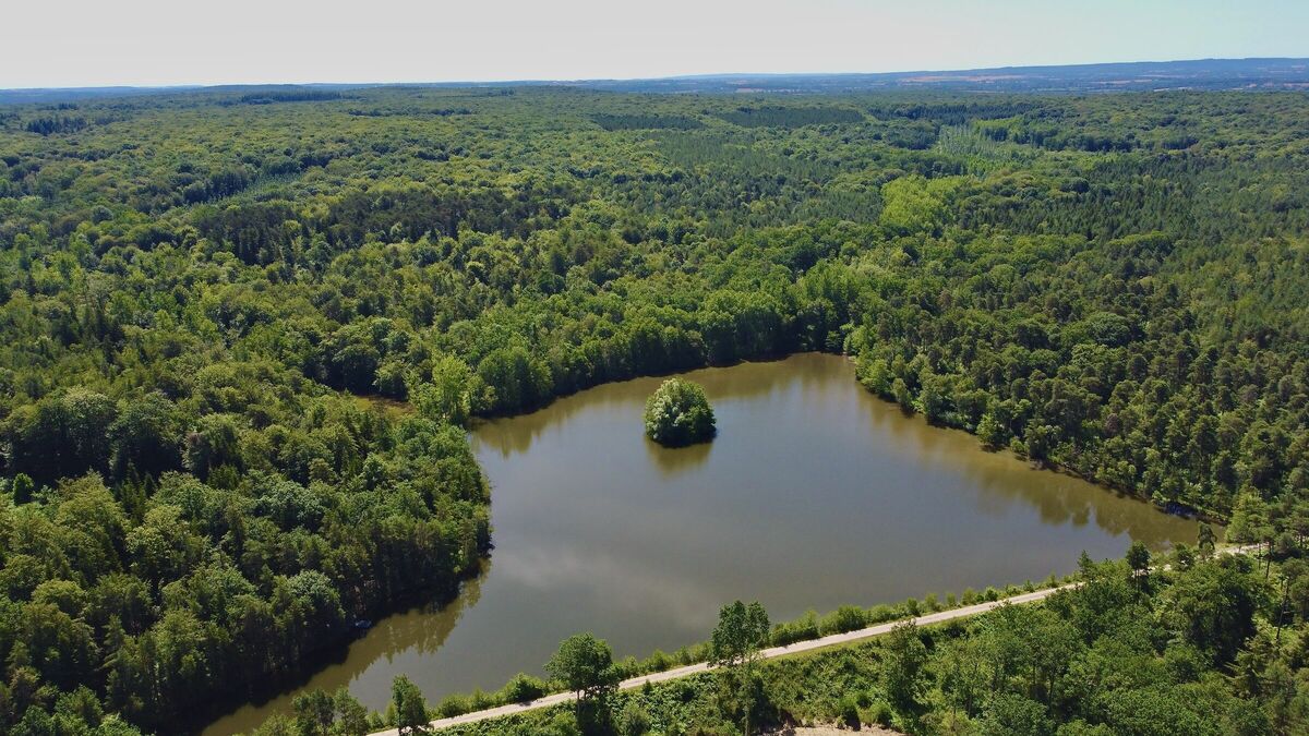 Forêt de Gouffern, à la confluence de l’Orne et de l’Ure