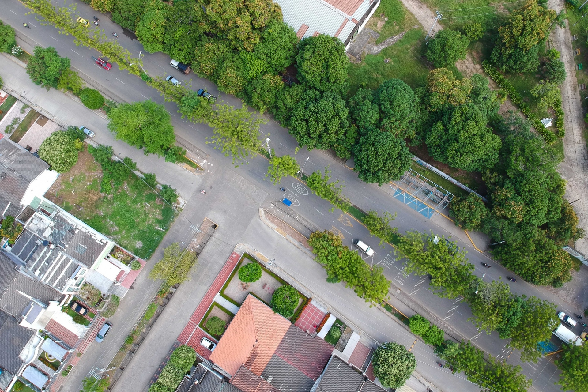 Ville arborée